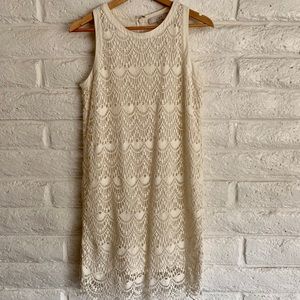 Ann Taylor Loft Cream Lace Dress